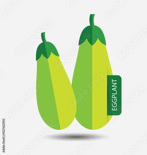 eggplant ,vegetables vector illustration