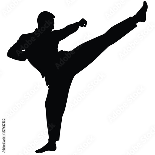 Silhouette of a Karate Practitioner MidKick, High Action, Focused Martial Arts
