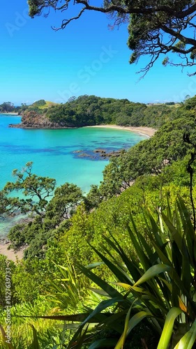 Northland, New Zealand scenery. Beautiful Tauwhara Bay near Whananaki. Secluded east coast beach only accessible by boat or via private land. Otamure Bay in distance. Vertical video.