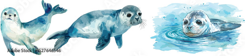 Seal Watercolor Set Vector Illustration, Isolated on White Background