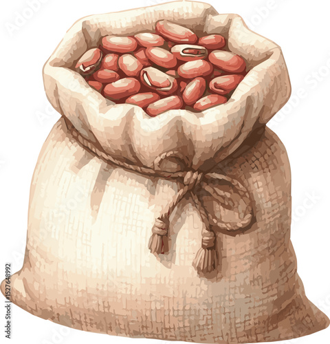Vector watercolor painted illustration of a bag of beans