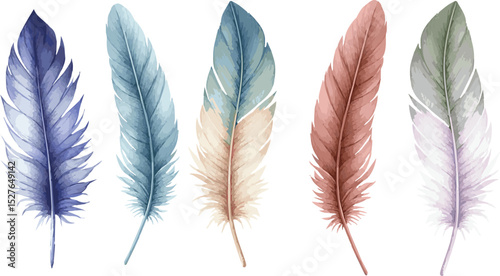 Collection of 5 watercolor painted vector feathers