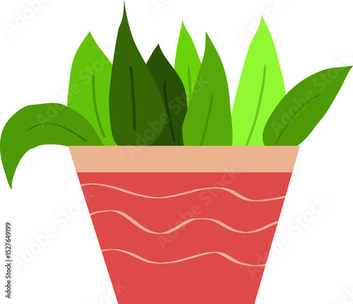 green plant in a pot organic shape 