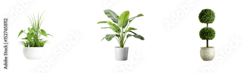 Various Potted Plants: Three Indoor Plants in Different Pot Styles

