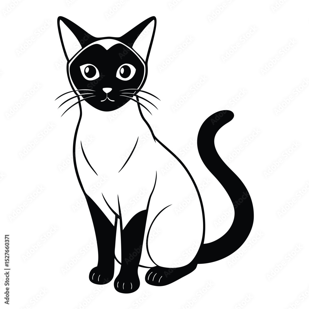 Obraz premium siamese cat vector