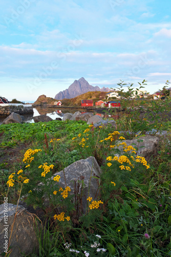 ノルウェイのロフォーテン朝の風景縦