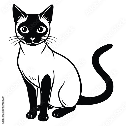 siamese cat vector