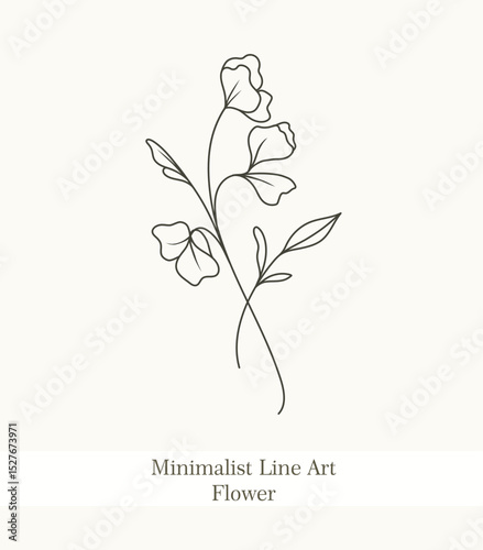 Minimalist Line Art Hand Drawn Flower 4