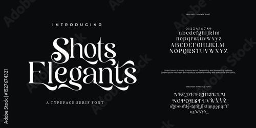 Elegant font alphabet uppercase lowercase and number. Classic lettering minimal fashion designs. Typography modern serif fonts regular decorative vintage concept. Vector illustration