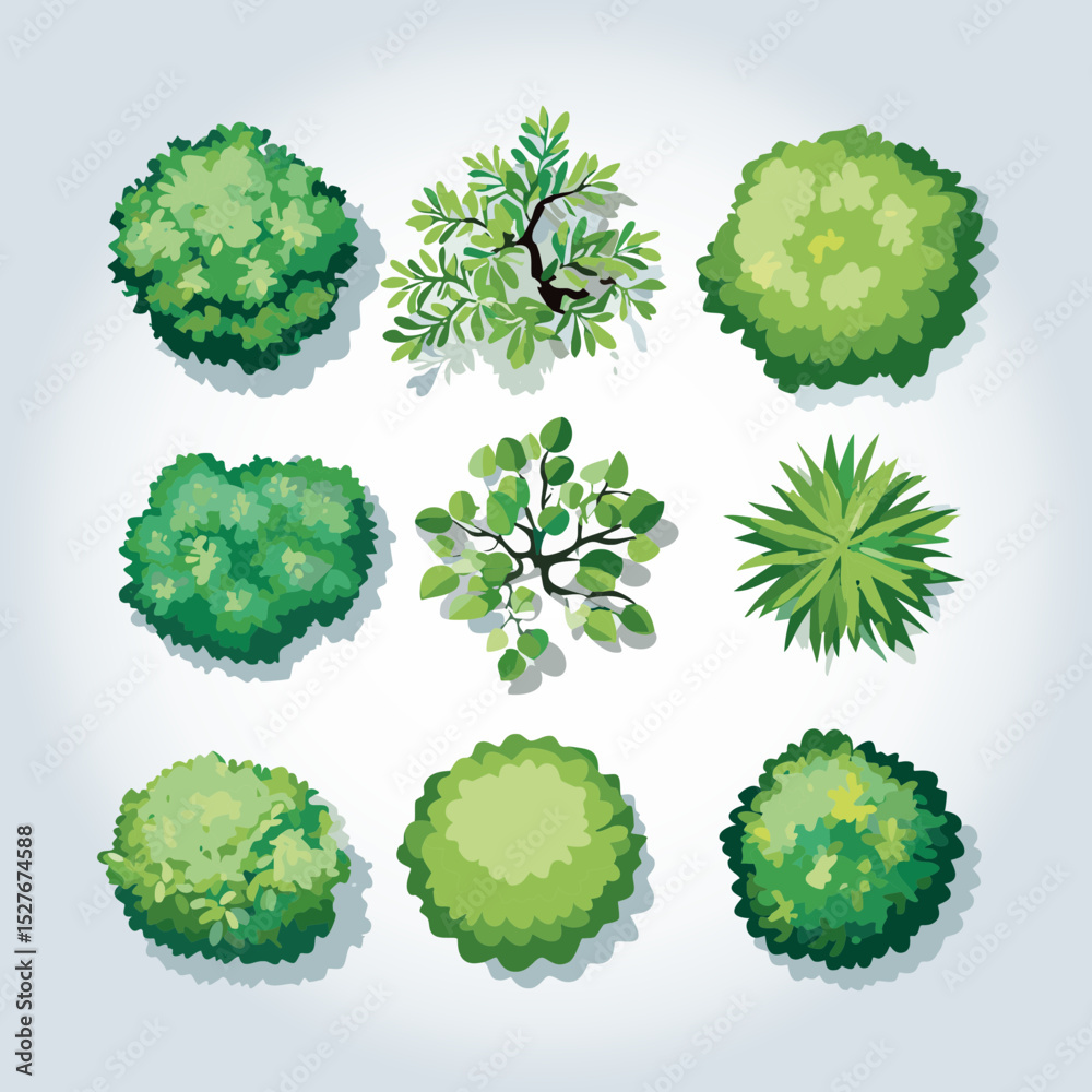 Ensemble de 9 Icônes d'Arbres et d'Arbustes pour Plans de Jardins et Architecture Vus de dessus, Nature et Végétation Couleur Vert Vecteur