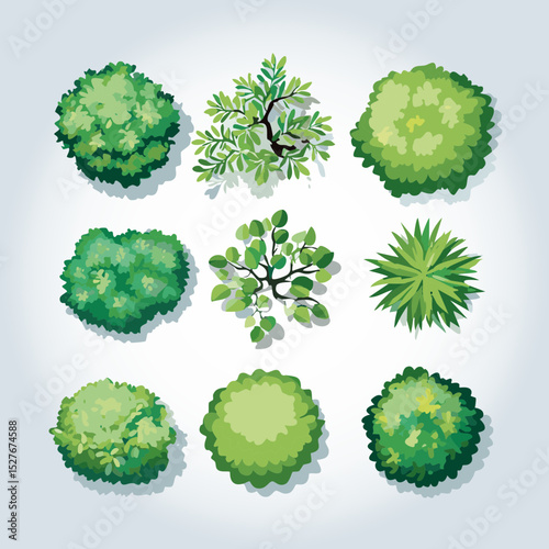 Ensemble de 9 Icônes d'Arbres et d'Arbustes pour Plans de Jardins et Architecture Vus de dessus, Nature et Végétation Couleur Vert Vecteur