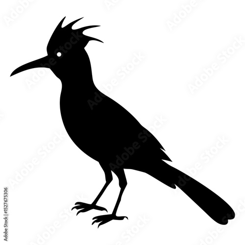 A  bird standing full black silhouette vector illustration design