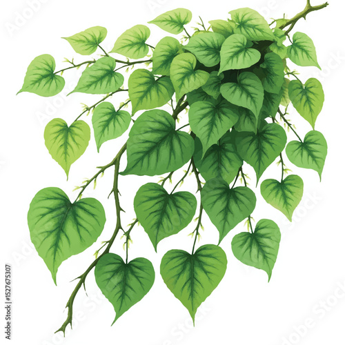 Fresh green foliage, like mint or chestnut leaves, isolated on a white background, evokes the essence of nature and spring growth