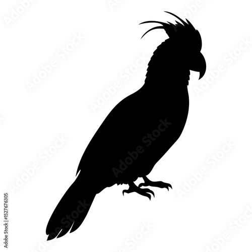 A  bird standing full black silhouette vector illustration design