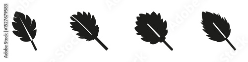 Feather Silhouettes In Icon Set. Nature And Ornithology Symbol Collection. Decorative And Educational Use. Isolated Vector Illustration