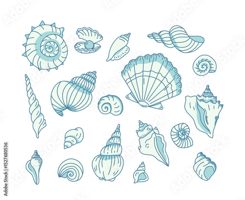 Nautical shells collection, sea nature or aquarium exotic decorative cockleshell design elements