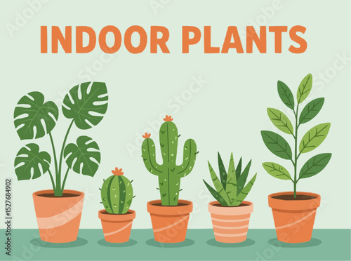 Potted Houseplants Illustration: Monstera, Cactus, Snake Plants