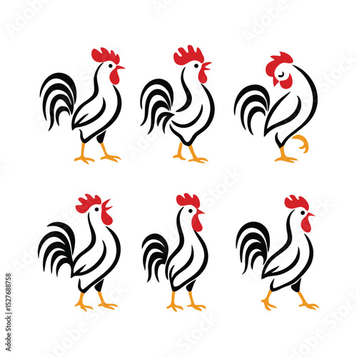 colorful rooster hen chicken fowl animal