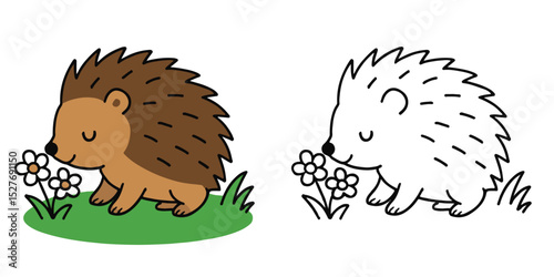 Coloring Book For Kids Little porcupine sniffing flowers on the grass Outline Vector Illustration