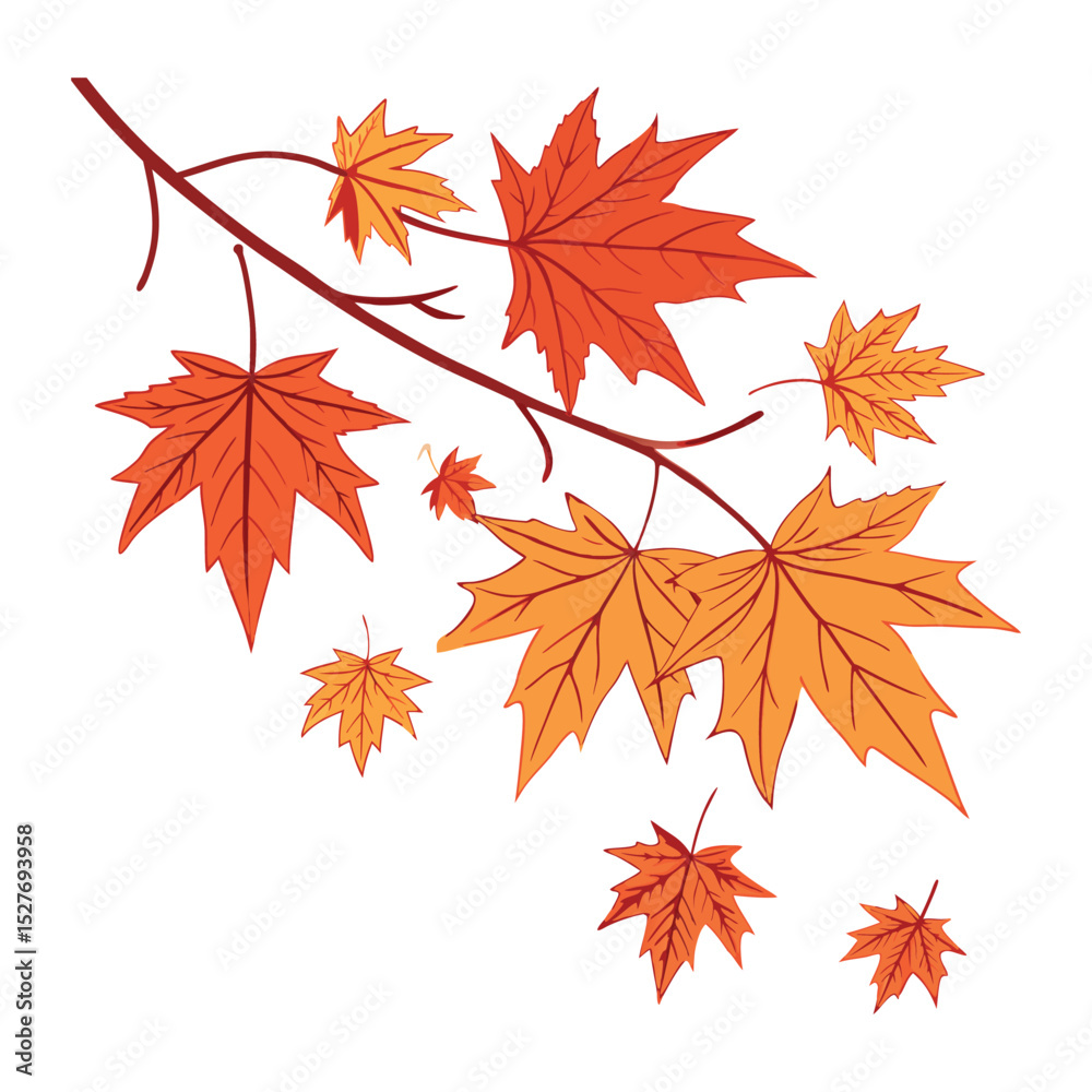 Fall Oak Leaves Illustration Fall Oak Leaves Illustration