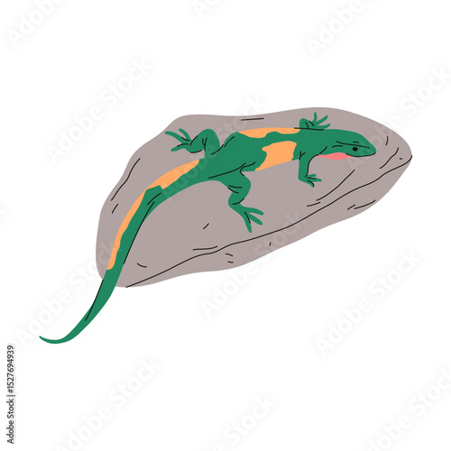Lizard on stone or cartoon reptile on terrain. Vector desert or savannah wildlife. Tropic fauna clipart. Illustration or poster for biology or zoology. Wilderness and nature. Natural camouflage