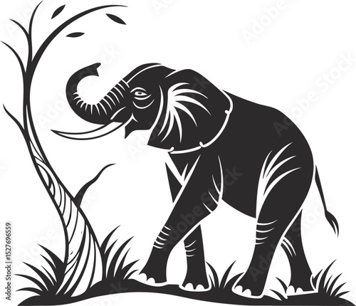 elephant on a white background