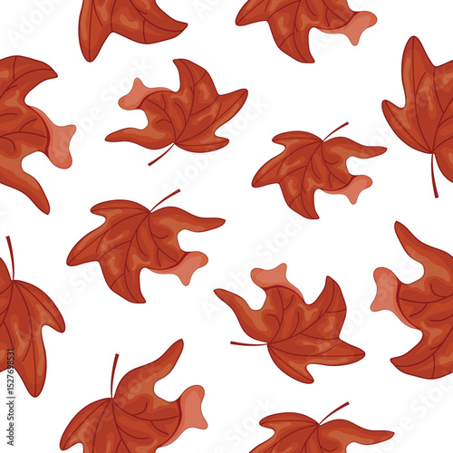 Pattern with maple leaf in Canadian flag colors without background, for Canada Day or autumn design