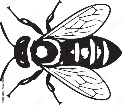 Vintage Black and White Ink Drawing of Flying Honey Bees in Motion – Hand-Drawn Engraving Style Insect Illustration with Detailed Wings and Striped Bodies, vector art illustration.