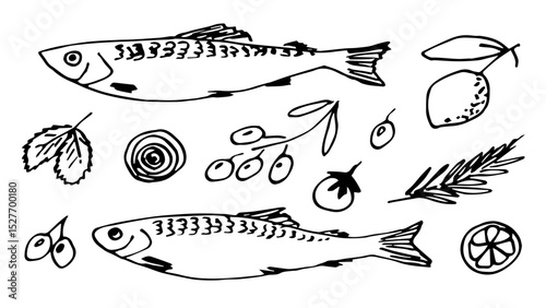 Mediterranean food. Fish set, vegetables, lemon slices, onion, olives, rosemary branch, seafood. Hand drawn vector illustration with black outline. Ink sketch.