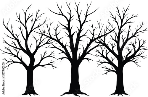 Three Black Trees With Bare Branches Silhouette on White Background, Illustration