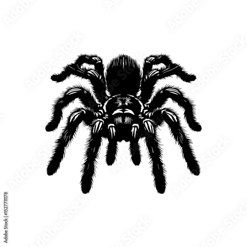 Detailed tarantula vector logo depicted as a striking black silhouette, emphasizing its hairy legs and intimidating presence on a clean white background. Animal concept