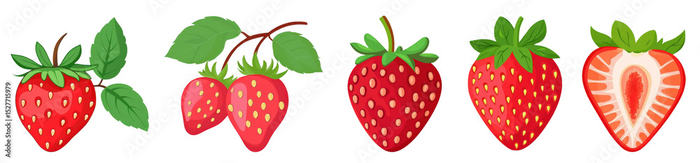 Fototapeta premium strawberry vector set, fresh and ripe fruit illustration.
