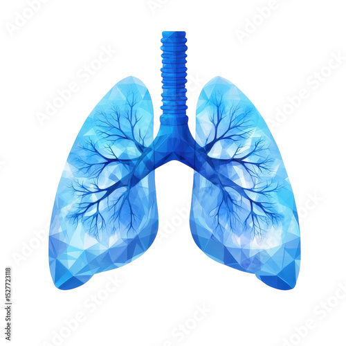Blue polygon lungs illustration Pulmonary respiratory system health care on transparent background