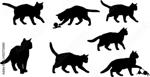 Set of vector cat silhouette. Kitten, kitty or pet animal in different poses and playing with toy or alone. animal pet, wildcat and kitten, hunter and predator, black silhouette illustration.