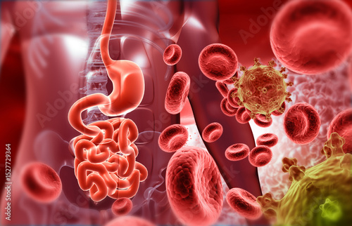 Human stomach digestive system with virus, bacterial infection. 3d illustration