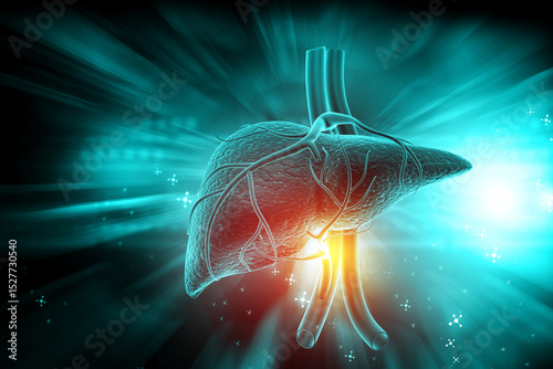 Human liver anatomy on abstract scientific background. 3d illustration