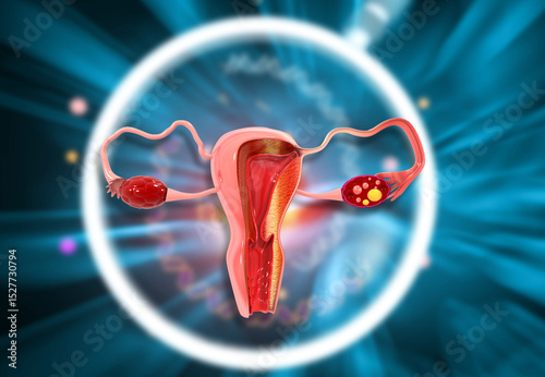Female reproductive system, Women Uterus Cross section anatomy. Abstract scientific background. 3d illustration