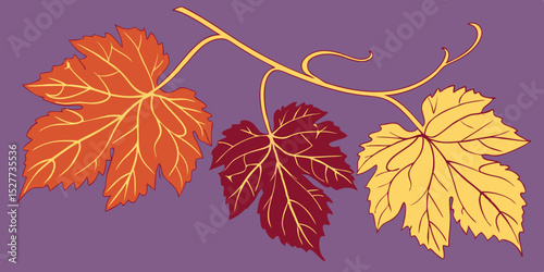  Set of different color's autumn vine leaves isolated on purple background vector illustration
