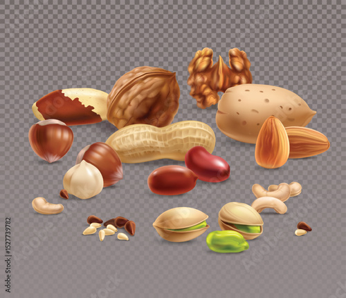 Assorted nuts on transparetn background. Vector illustration