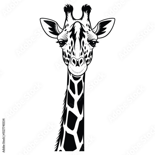 giraffe vector illustration
