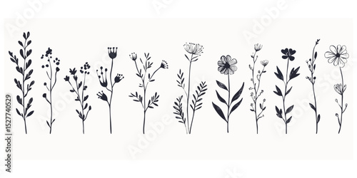 Black and white botanical illustrations of various wildflowers and plants