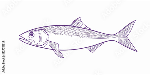 Hand-drawn illustration of a fish (2)