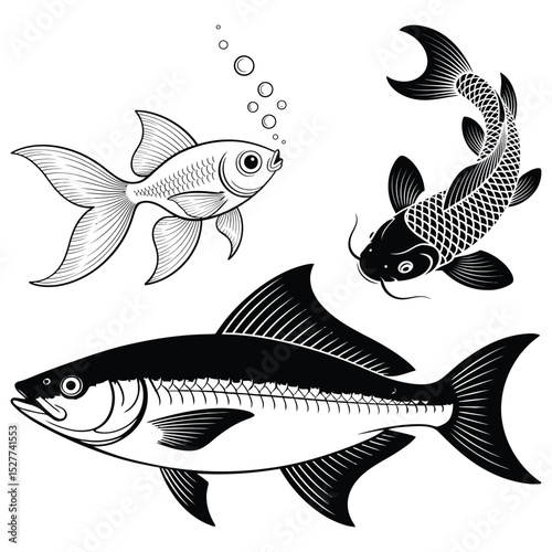 set of fish