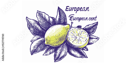 Hand-drawn illustration of European lemons with leaves