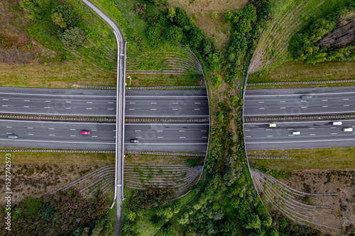 Forest aerial wildlife crossing forming a safe natural corridor bridge for animals to migrate between conservancy areas. Environment nature reserve infrastructure engineering eco passage from above