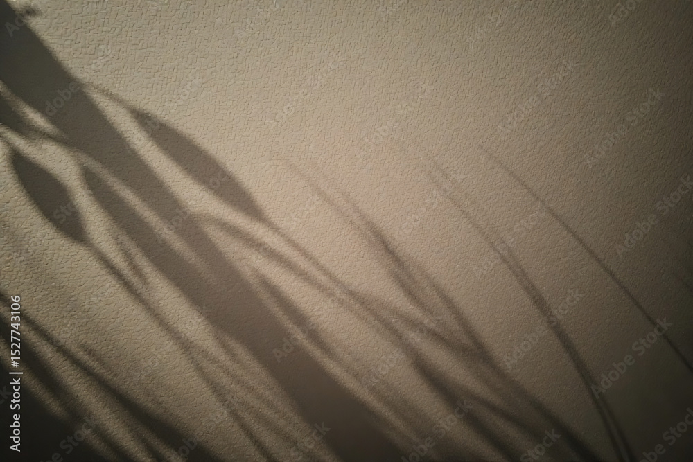 Fototapeta premium A Quiet Wall Touched by Leaf Shadows