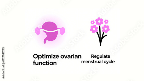 Pink ovaries and flowers represent optimizing ovarian function and regulating menstrual cycles, suitable for female reproductive health and menstrual regulation scenarios.
