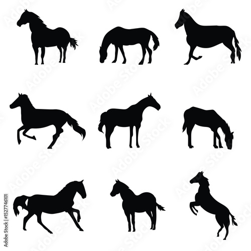 horse silhouette mustang silhouettes pack vector design 