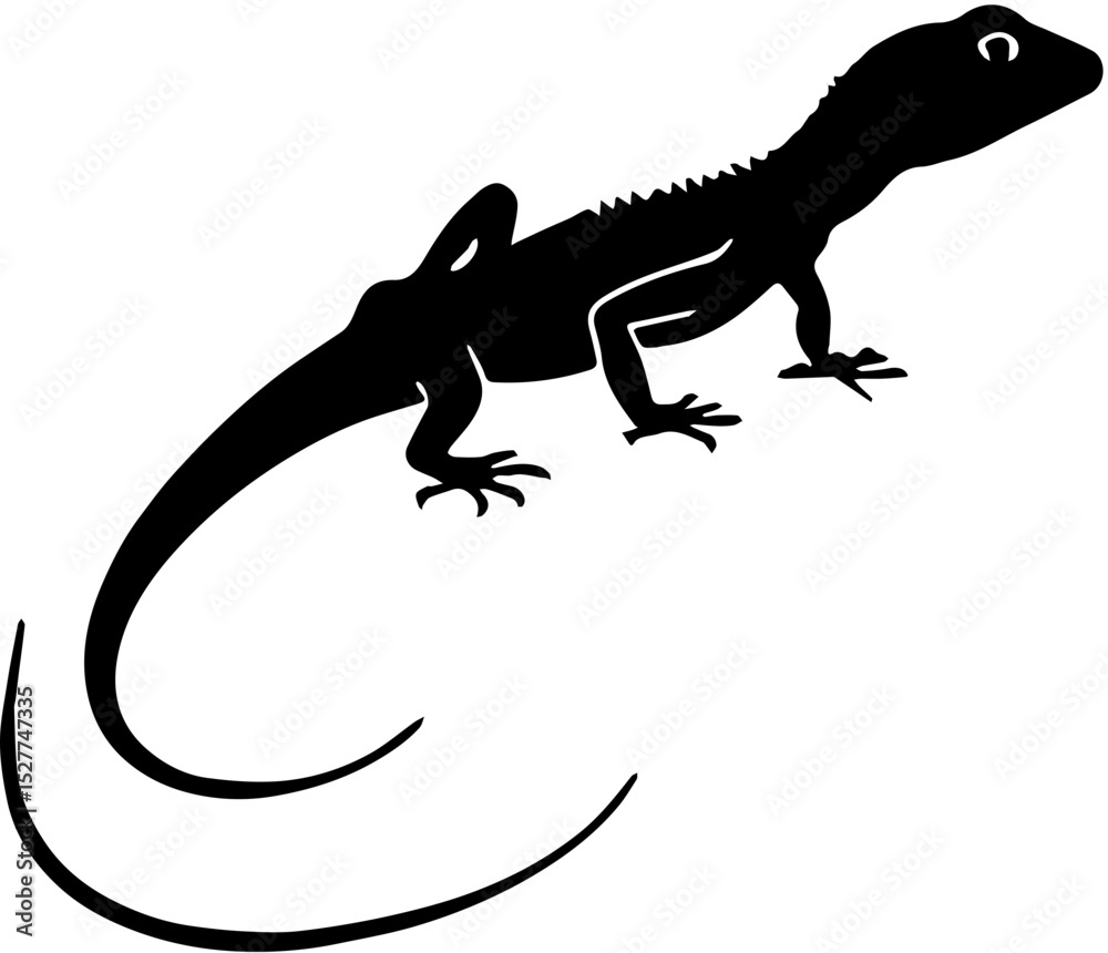 Fototapeta premium lizard on white background