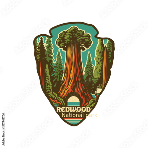 Vintage Redwood National park, Retro National park, United States of America National Park, national park service